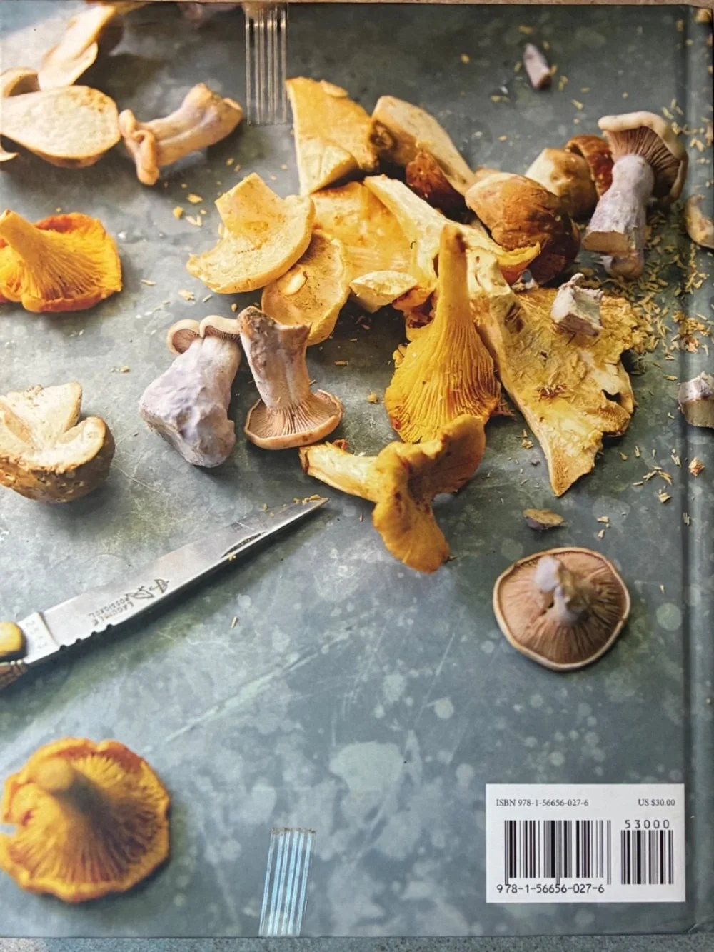 Passione: Simple, Seductive Recipes for Lovers of Italian Food cookbook EUC